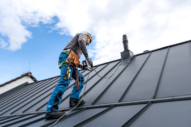 Best Asphalt Shingle Roofing  in Belen, NM